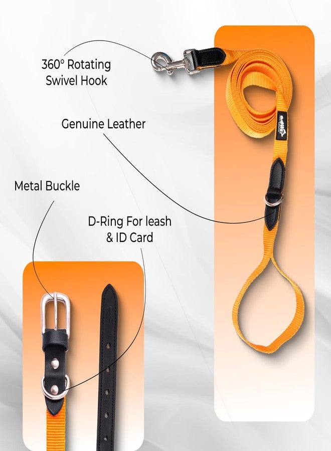 ADIL'S Adil’s Adjustable Plain Nylon with Leather Dog Collar & Leash Combo - Reinforced with Metal Buckle, 360° Swivel Hook, D-Ring & 10ft Leash for Small, Medium & Large Dogs (Orange, Large) - Image 4